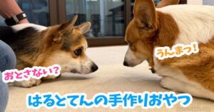 はるとてんの手作りおやつ