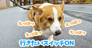 行きたいスイッチON