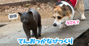てんおっかなびっくり