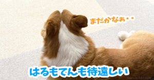 はるもてんも待遠しい
