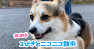 2ぴきとニコニコ散歩