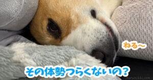 その体勢つらくないの？