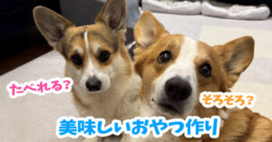 美味しいおやつ作り