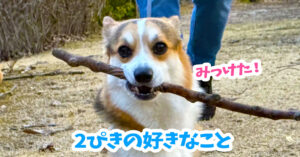 2ぴきの好きなこと