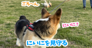 にいにを見守る