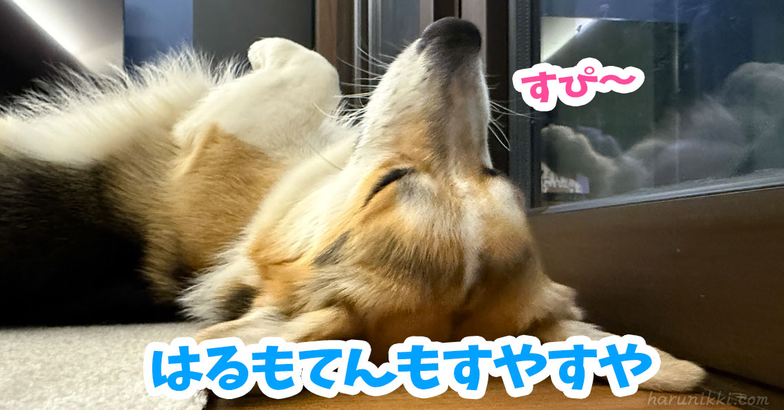 はるもてんもすやすや