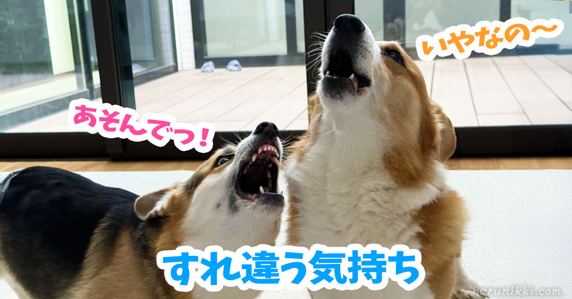 すれ違う気持ち