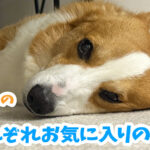 それぞれお気に入りの場所