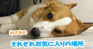 それぞれお気に入りの場所