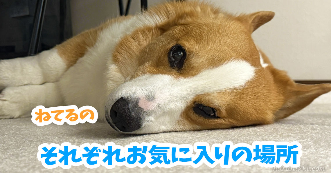 それぞれお気に入りの場所