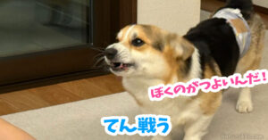 てん戦う