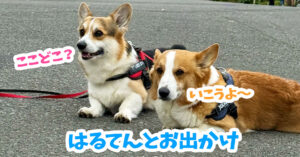 はるてんとお出かけ
