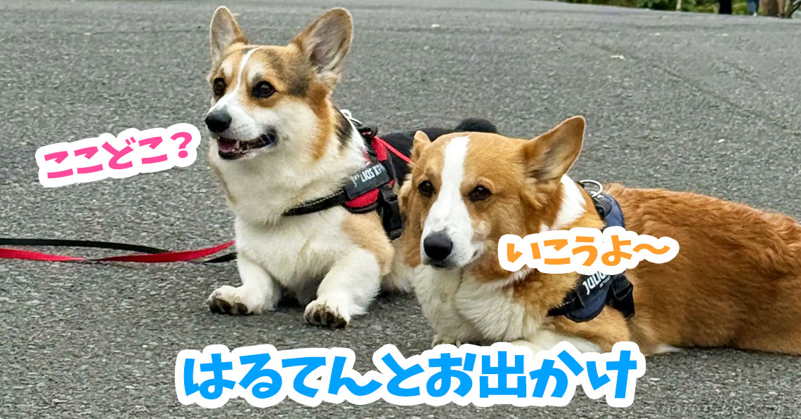 はるてんとお出かけ