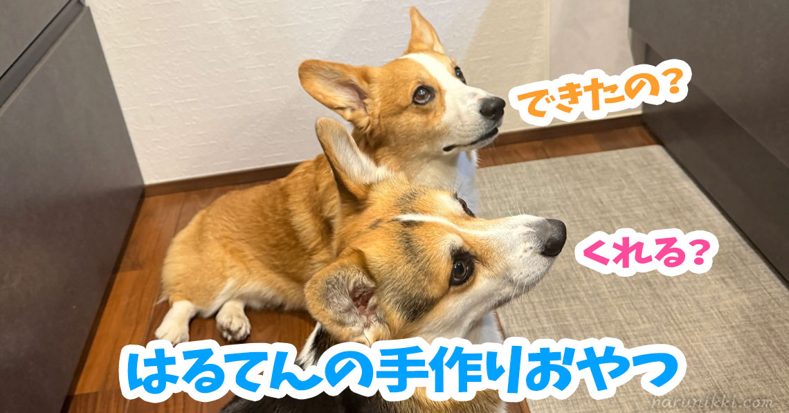はるてんの手作りおやつ