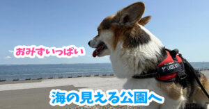 海の見える公園へ