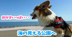 海の見える公園へ