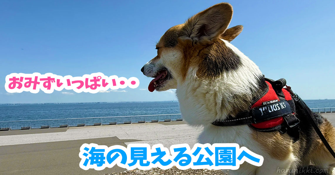 海の見える公園へ