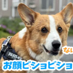 お顔ビショビショ