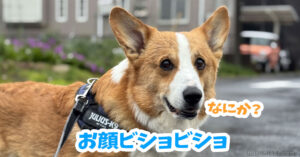 お顔ビショビショ