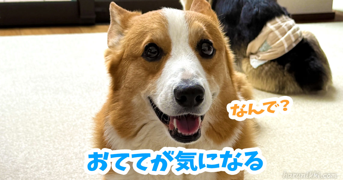 おててが気になる