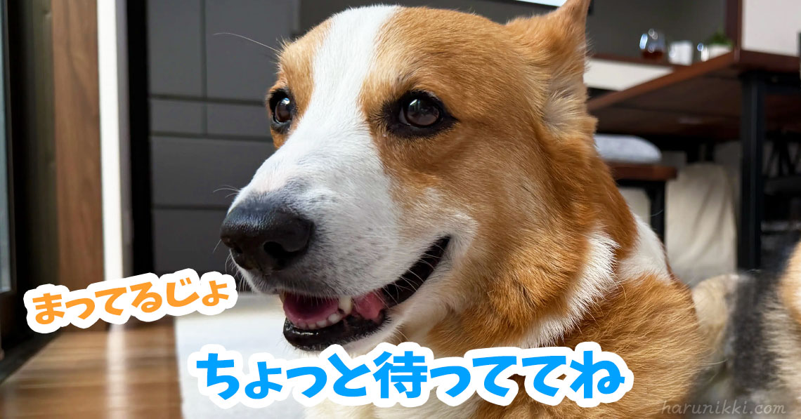 ちょっと待っててね