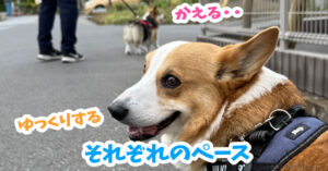それぞれのペース