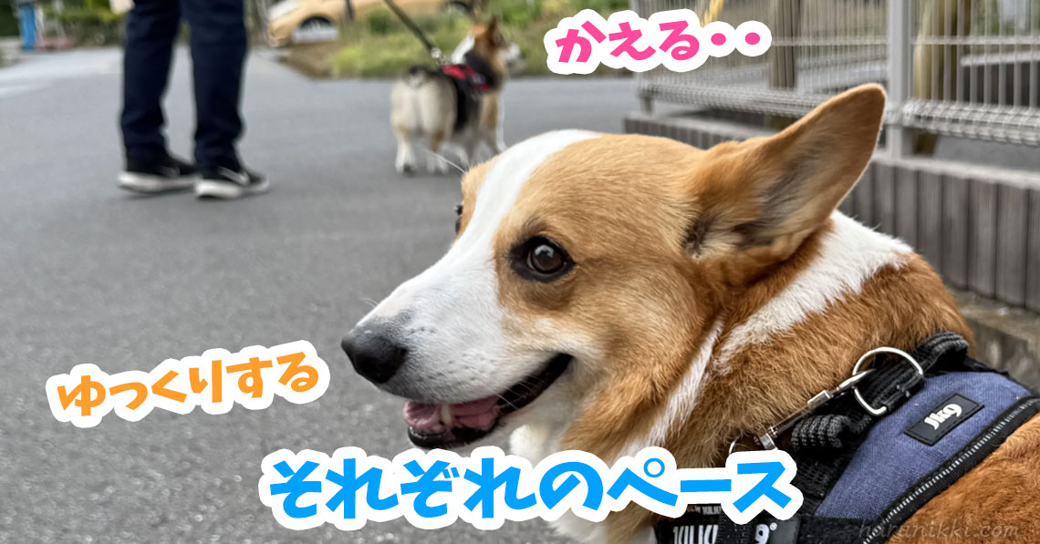 それぞれのペース