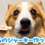 まぐろのジャーキー作ってみた