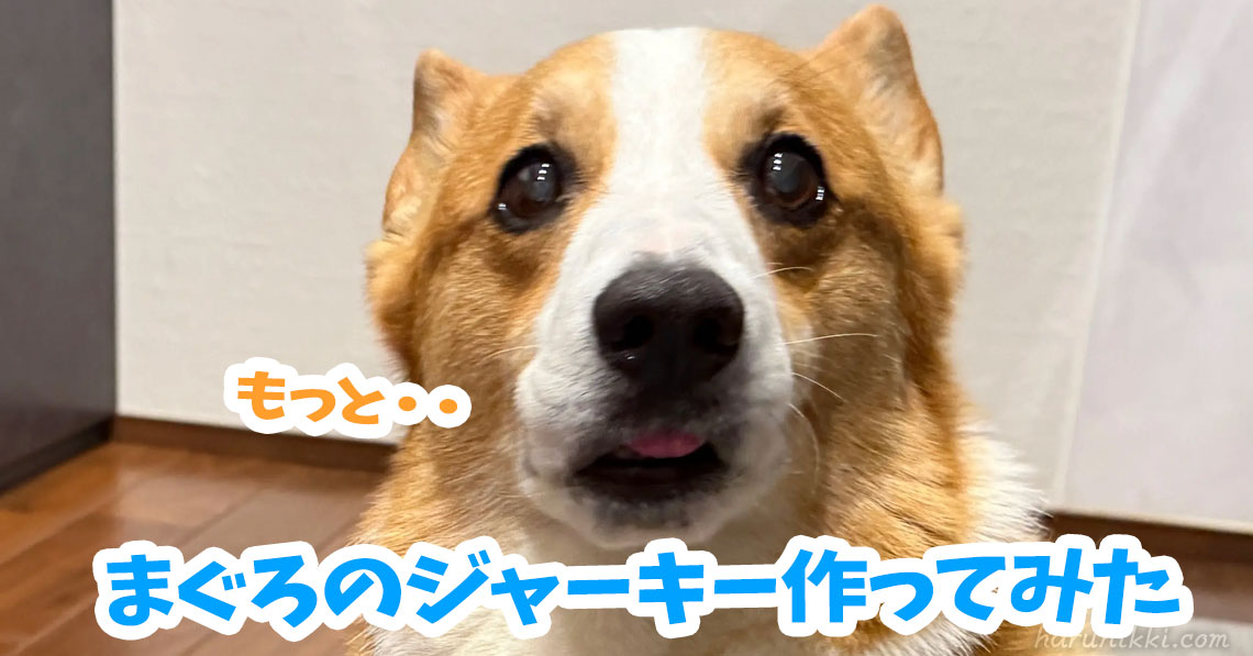 まぐろのジャーキー作ってみた