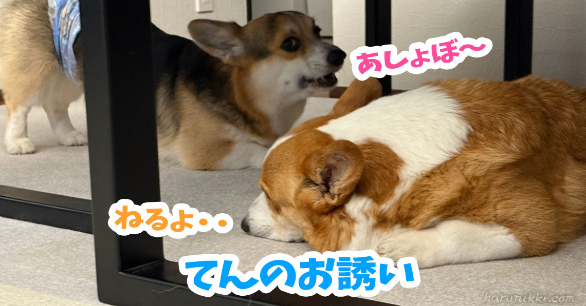 てんのお誘い