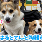 はるとてんと陶器市