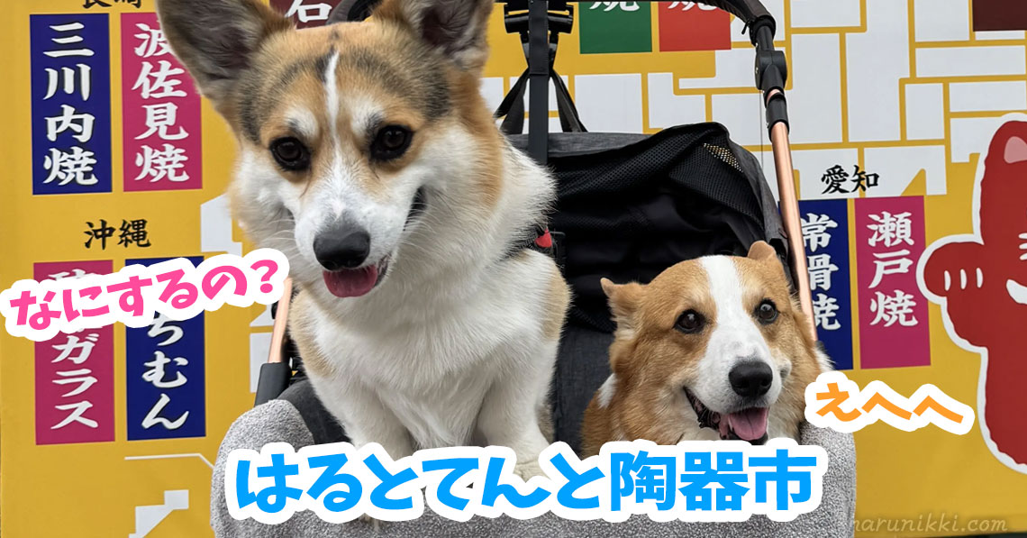 はるとてんと陶器市