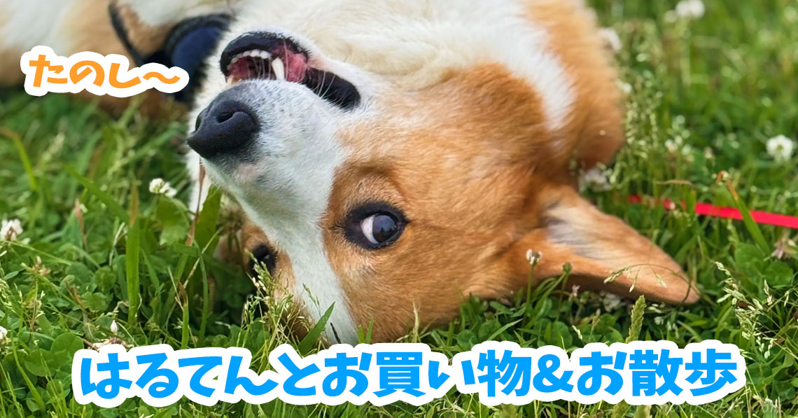 はるてんとお買い物&お散歩
