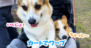 カートでワープ