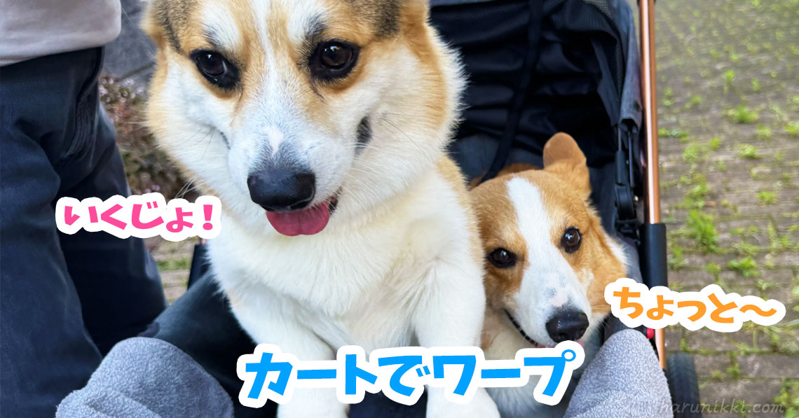カートでワープ
