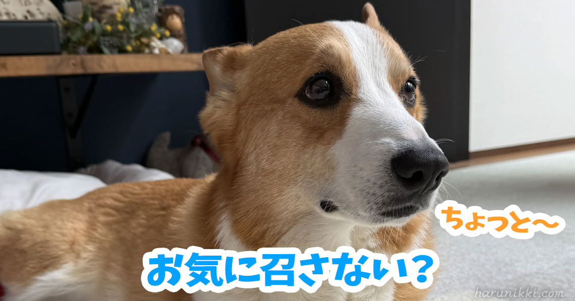 お気に召さない？