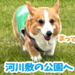 河川敷の公園へ