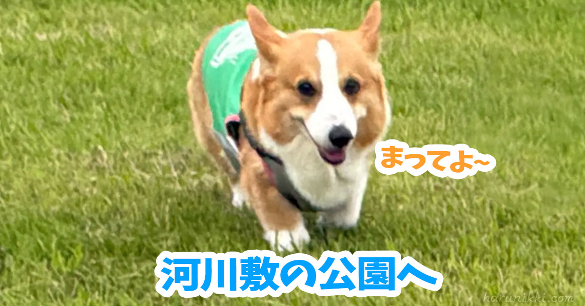河川敷の公園へ