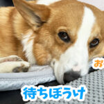 待ちぼうけ