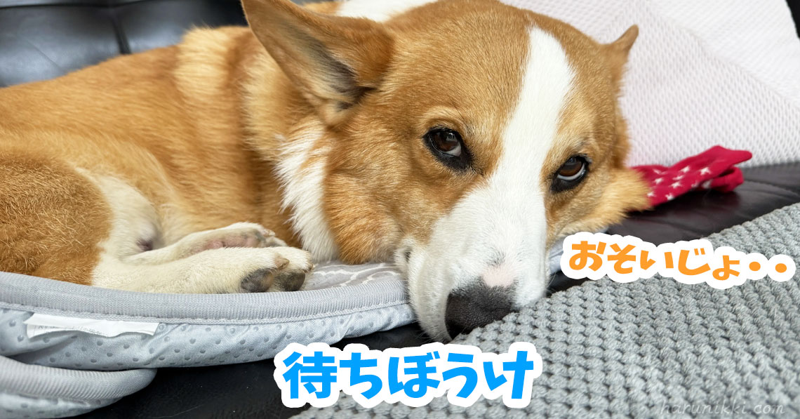 待ちぼうけ