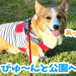 びゅ〜んと公園へ