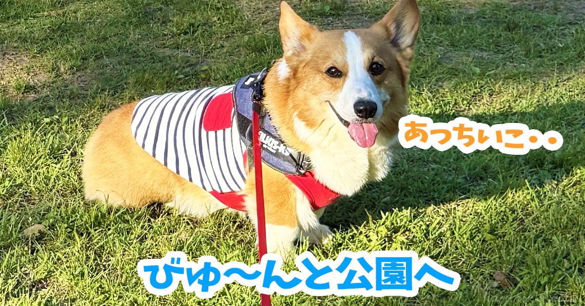 びゅ〜んと公園へ