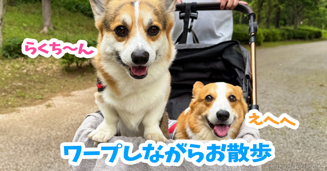 ワープしながらお散歩