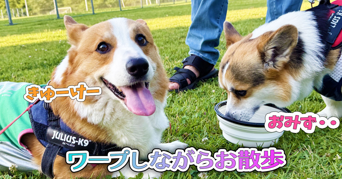 ワープしながらお散歩