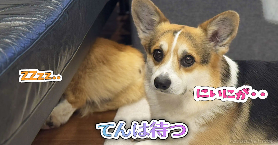 てんは待つ