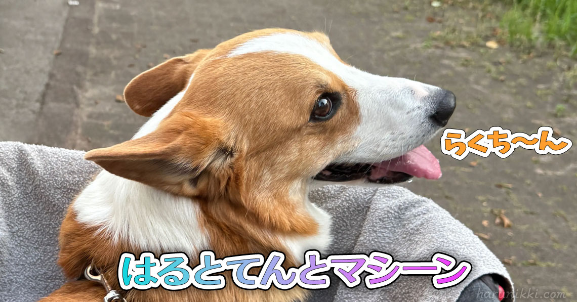 はるとてんとマシーン