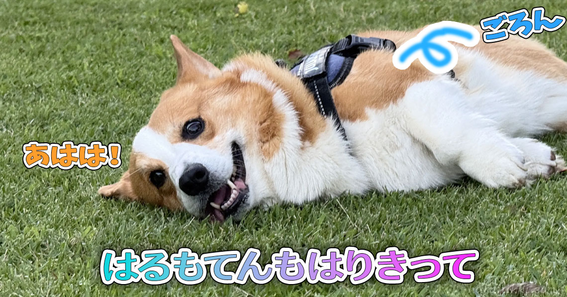 はるもてんもはりきって