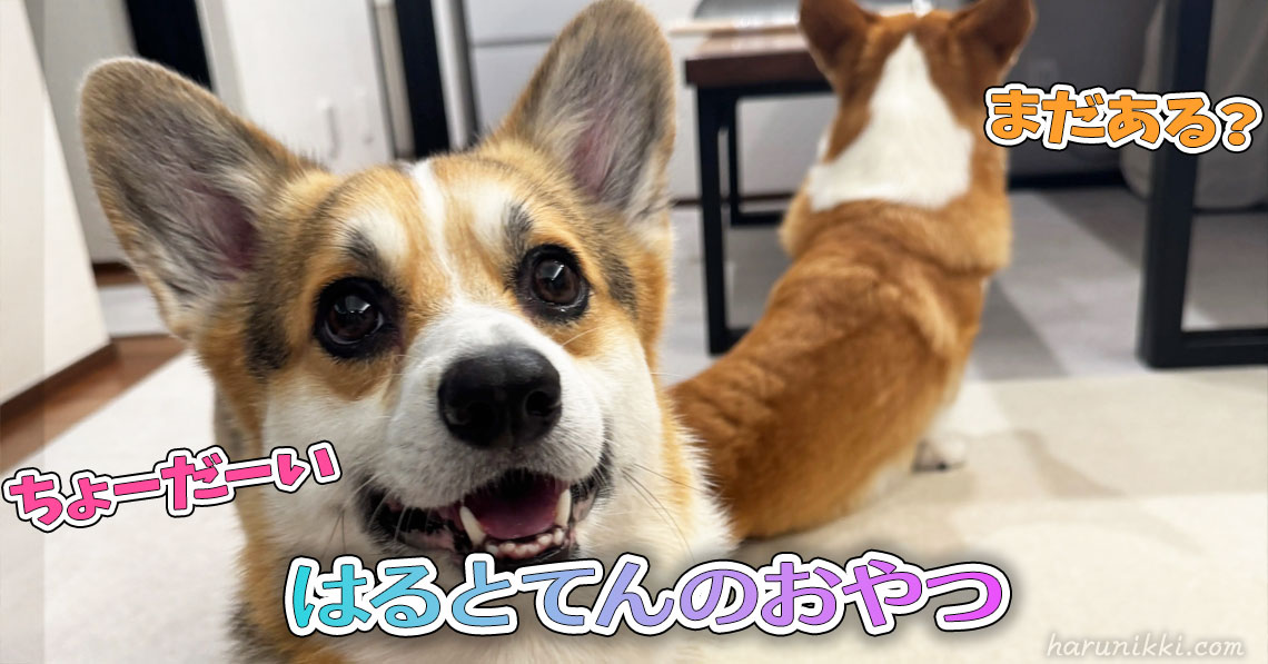 はるとてんのおやつ