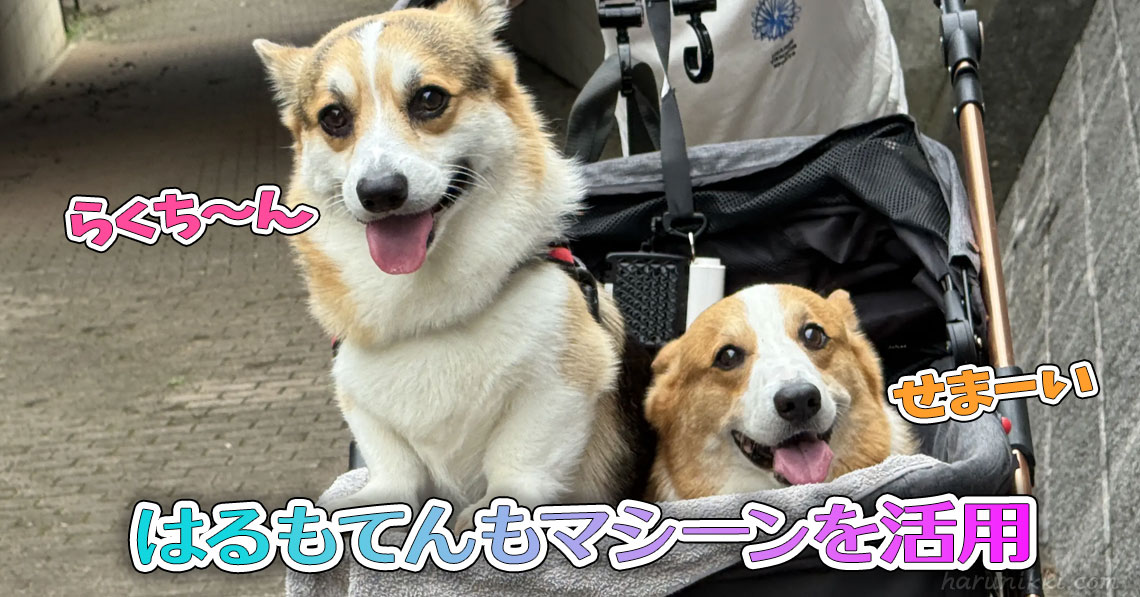 はるもてんもマシーンを活用