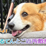 はるてんとご近所散歩！